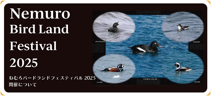 Nemuro Bird Land Festival 2025 - ねむろバードランドフェスティバル2025