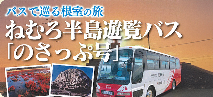バスで巡る根室の旅 ねむろ半島遊覧バス「のさっぷ号」