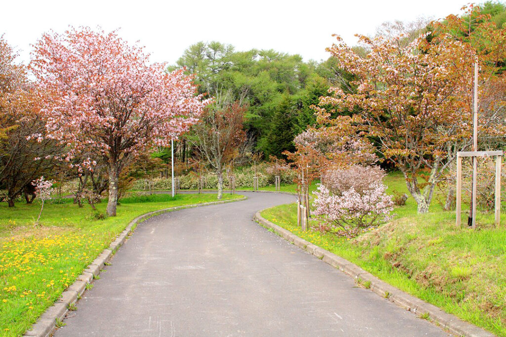 明治公園-春の明治公園の様子