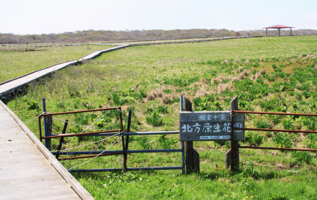 北方原生花園_